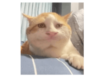 849441495