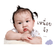 849441531