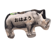 849445241