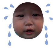 849445979