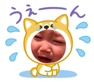 849445990