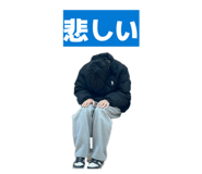 849446504