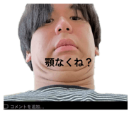 849446511