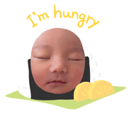 849446843