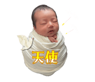 849446846