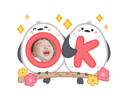 849460648