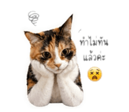 849463987