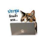 849463990
