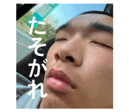 849465502