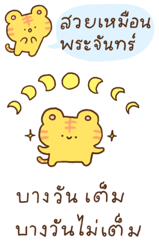 น้องเสือนุ่มฟูตัวใหญ่ รูปที่ 6