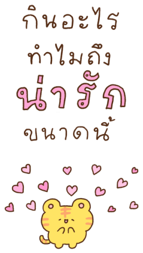 น้องเสือนุ่มฟูตัวใหญ่ รูปที่ 11