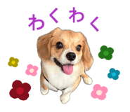 849483487