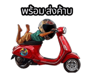 849484828