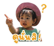 849523851