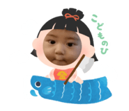 849527498