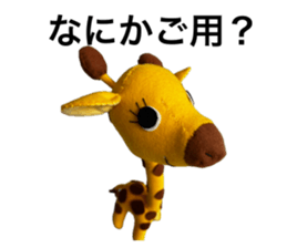 849545662