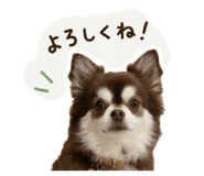 849548324