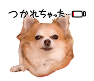 849548452