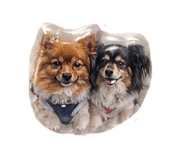 849548507