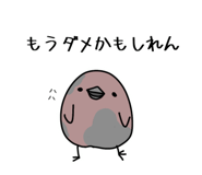849554536