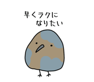849554545