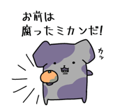 849554546
