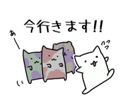 849554554