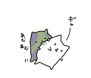 849554555