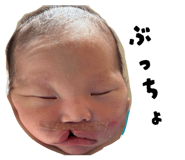849575001