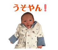 849575020