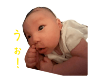 849575035