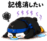 849577704