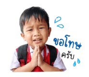 849586291