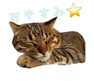 849588810