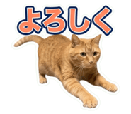 849590398