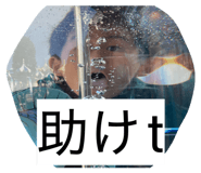 849591018