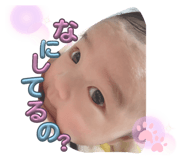 849591604