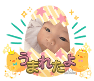 849591629