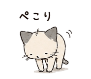 849593202