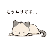 849593204