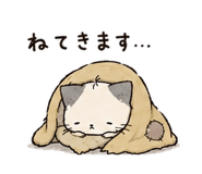 849593207
