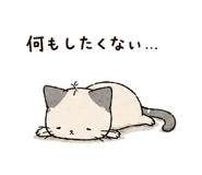 849593210