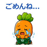 849593604