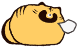 849594293