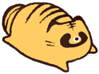 849594297