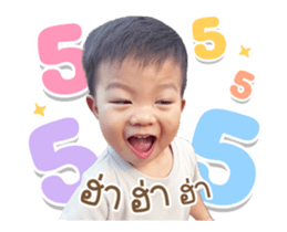 849597581