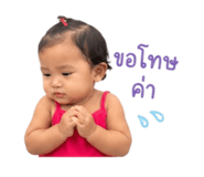 849600024