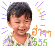 849600162