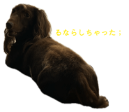 849603090
