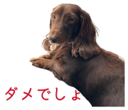 849603096